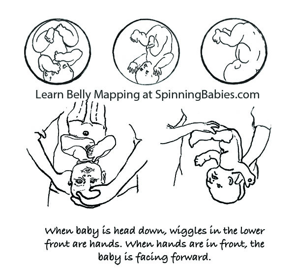 Baby Head Engaged Chart