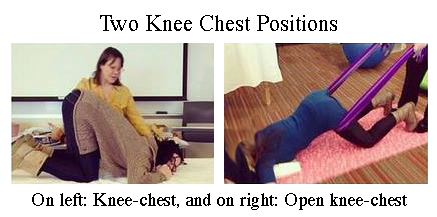 Knee chest- Open Knee Chest