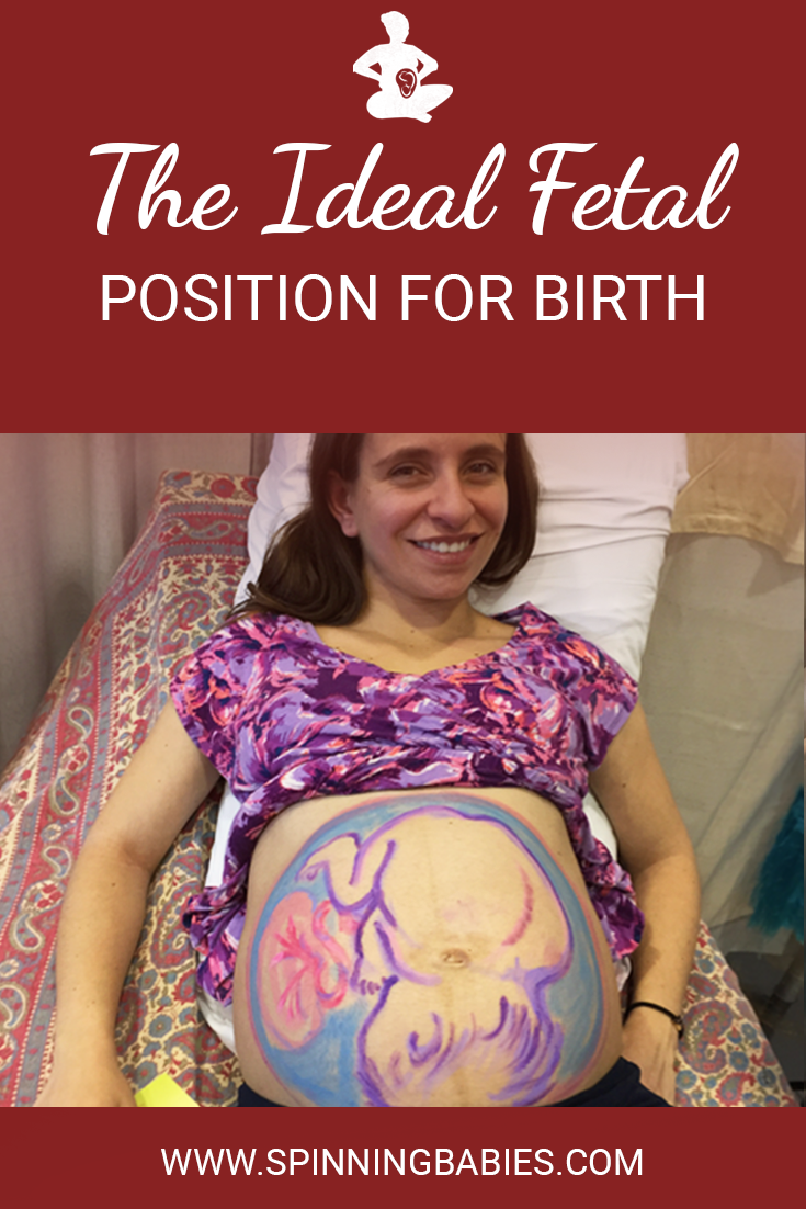 The Left Occiput Anterior position has the reputation as the best fetal position. Learn why it's actually just one of the best positions to help the baby be in the smallest diameter to fit the pelvis. #Childbirth #FetalPositions #Pregnancy