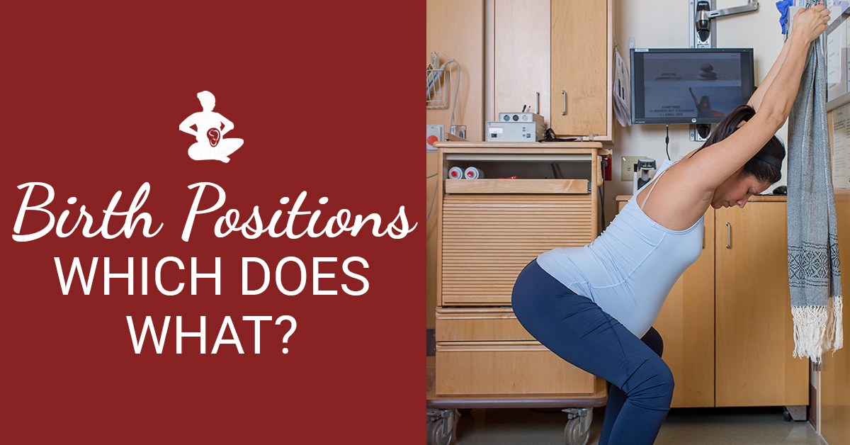Birth Positions Monthly Update Spinning Babies