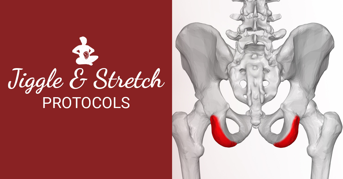 Jiggle and Stretch Protocols Spinning Babies