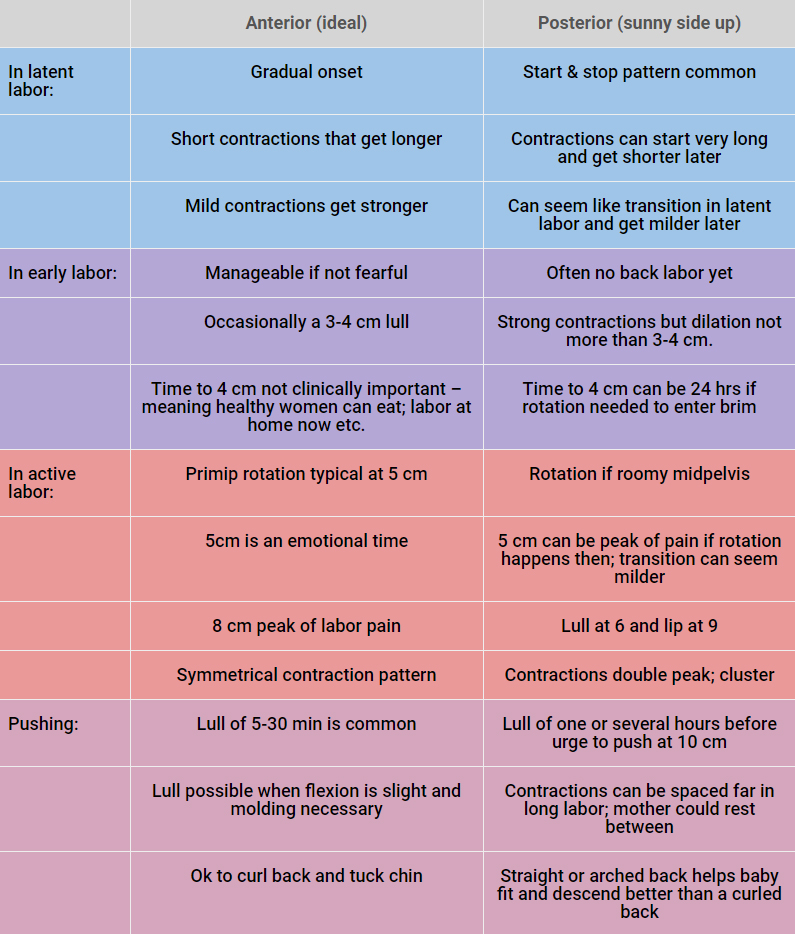 Pregnancy Labor Contractions Chart