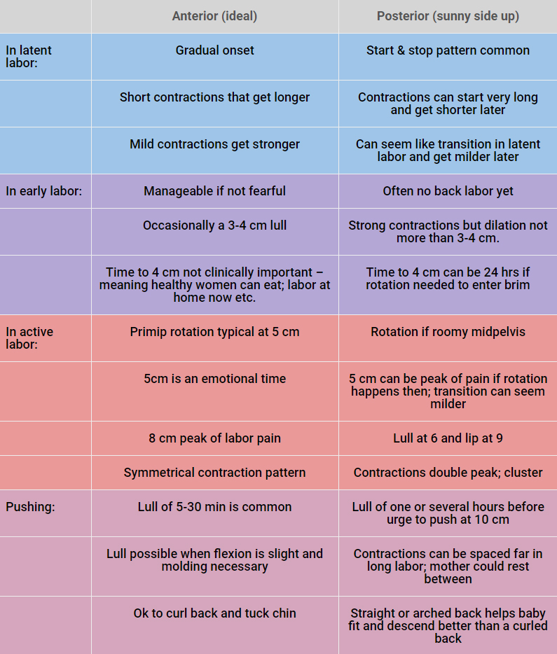 Labour Contractions Timing Chart