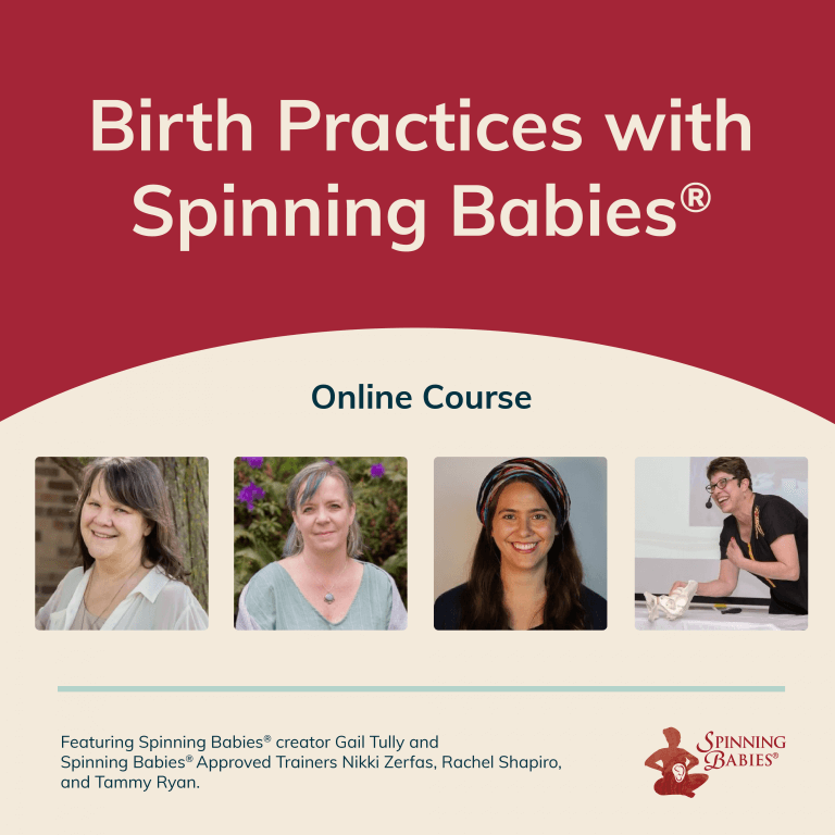 Birth Practices With Spinning Babies® Bulk Spinning Babies