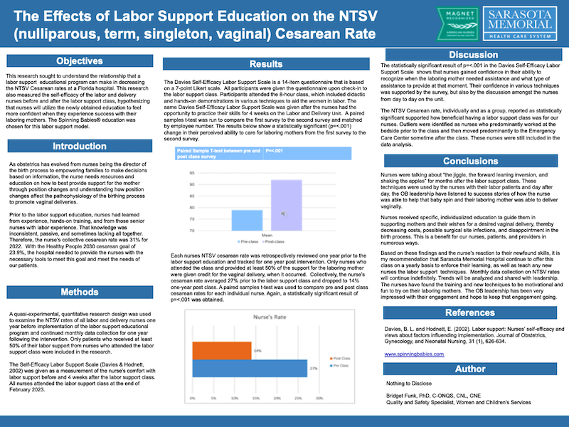 Bridget Funk's Presentation Poster on outcomes using Spinning Babies in Sarasota.