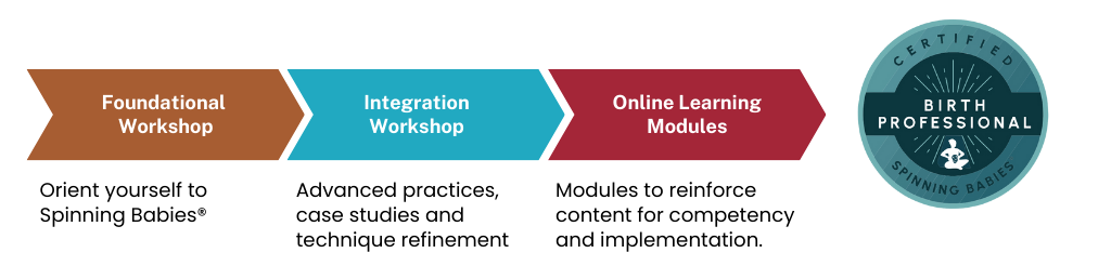Spinning Babies Welcome to Spinning Babies® Integration Workshop